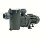 Preview: Peraqua Ocean® Poolpumpe O100, 0,75 kW, 230 V, IE3 Motor, selbstansaugend, großer Vorfilter, geräuscharm, Salzelektrolyse geeignet, IP55, steckerfertig 7301529